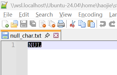Notepad++ Null Character Screenshot